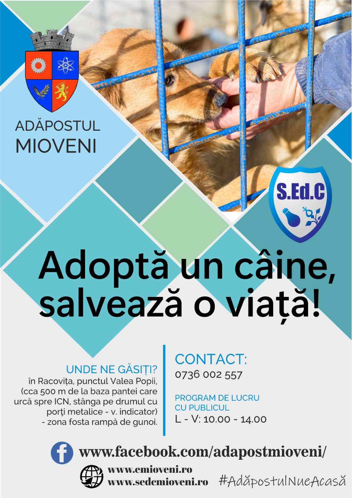 Serviciu Ecarisaj